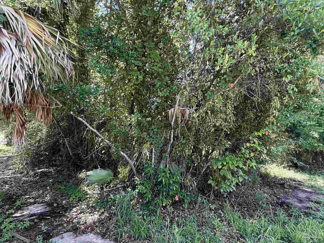 1420 N H St, Pensacola FL 32501 photo 5