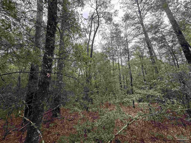 0 Kervin Rd, Crestview FL 32539 photo 6