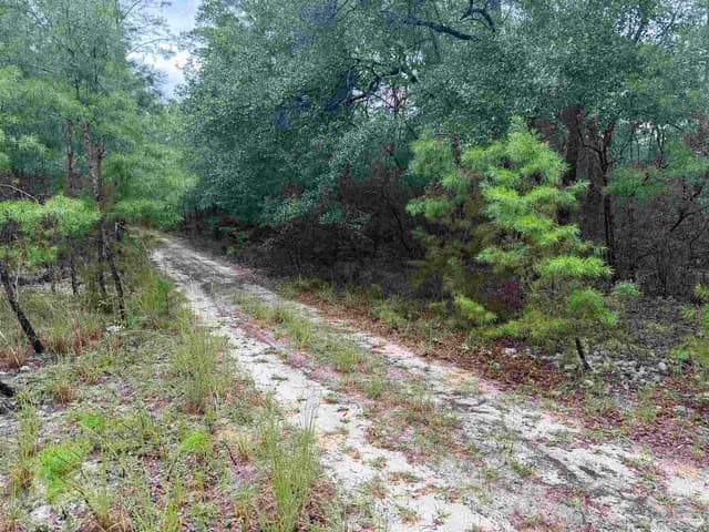 0 Kervin Rd, Crestview FL 32539 photo 3