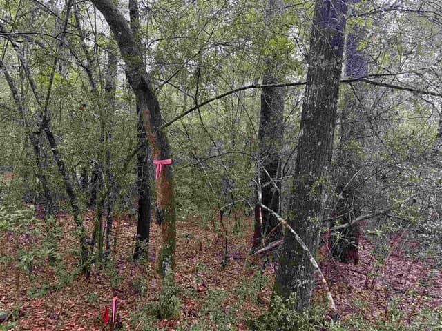 0 Kervin Rd, Crestview FL 32539 photo 5