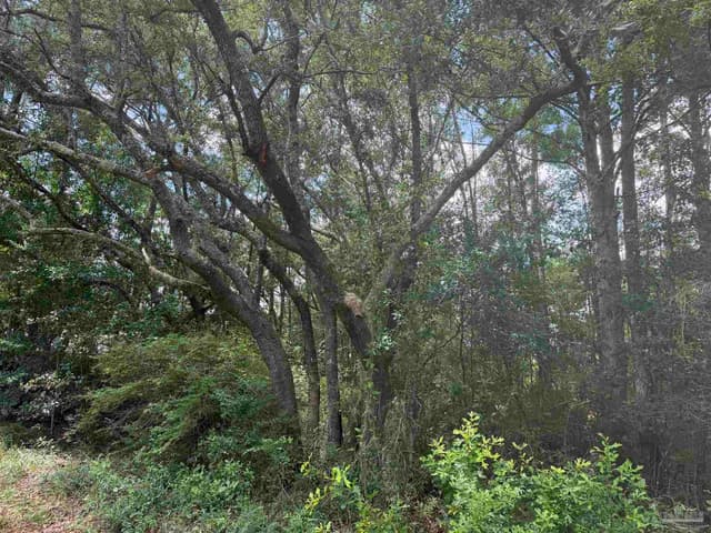 0 N 19th Ave, Milton FL 32583 photo 2