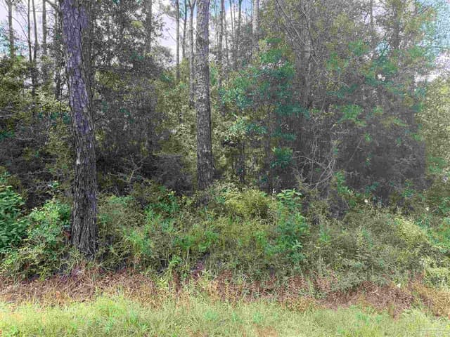 0 N 19th Ave, Milton FL 32583 photo 12