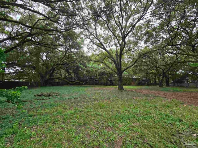 4045 Audubon Dr, Pensacola FL 32504 photo 3