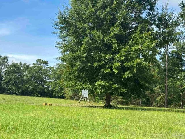 3470 Bell Fork Rd, Atmore AL 36502 photo 63