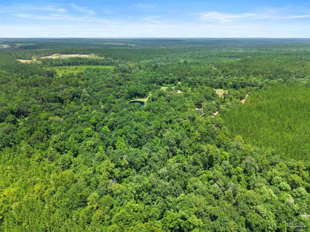 3470 Bell Fork Rd, Atmore AL 36502 photo 71