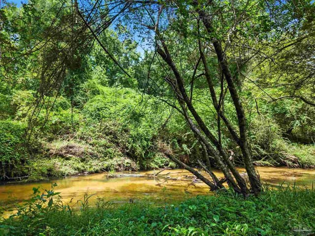 3470 Bell Fork Rd, Atmore AL 36502 photo 5