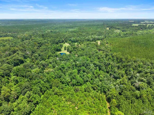 3470 Bell Fork Rd, Atmore AL 36502 photo 70