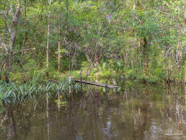 0000 Knight St, Bagdad FL 32570 photo 6