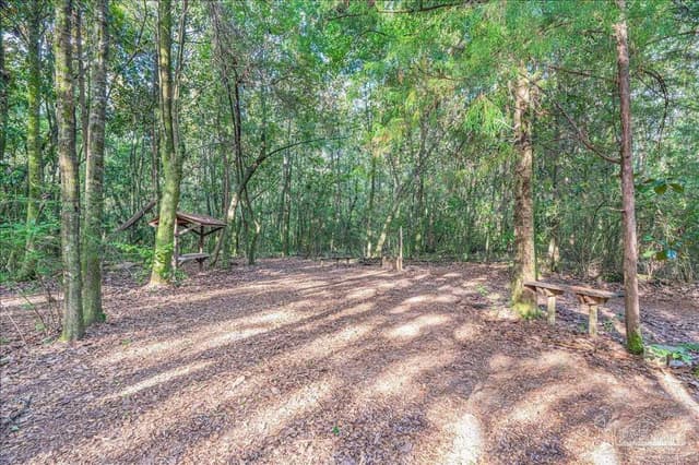 0000 Knight St, Bagdad FL 32570 photo 10