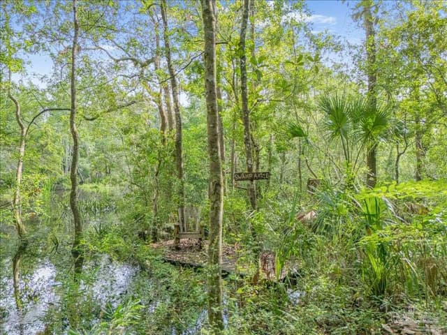 0000 Knight St, Bagdad FL 32570 photo 8
