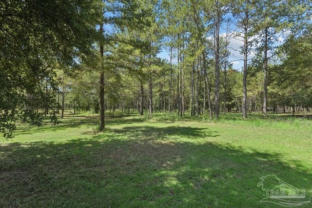 6885 Dora Lee Killam Rd, Century FL 32535 photo 7