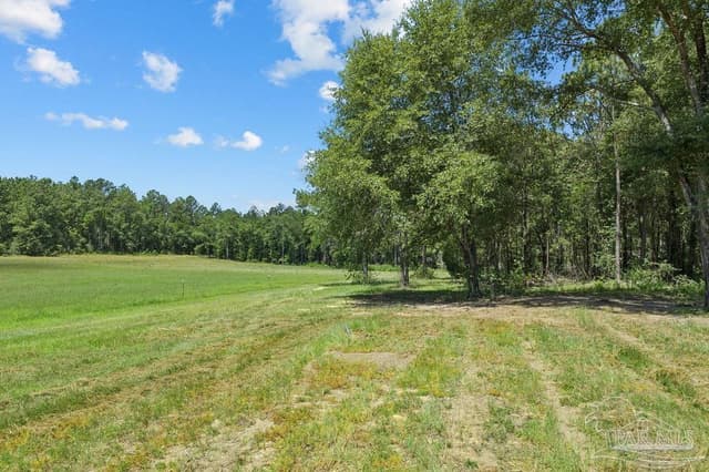 6885 Dora Lee Killam Rd, Century FL 32535 photo 37