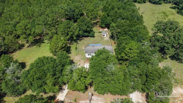 6885 Dora Lee Killam Rd, Century FL 32535 photo 40