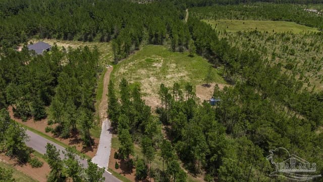 Lot 47 Naturewalk Dr, Pace FL 32571 photo 2