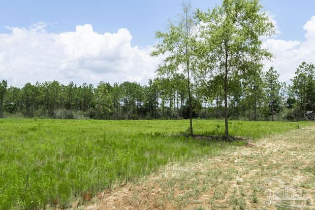 Lot 47 Naturewalk Dr, Pace FL 32571 photo 6