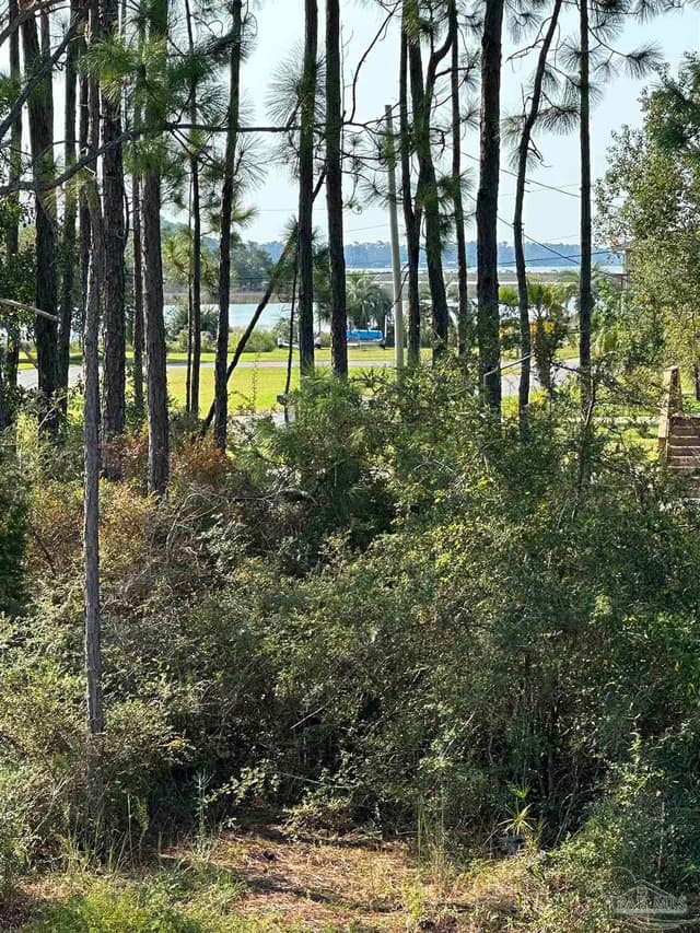 2633 Bayshore Pkwy, Milton FL 32583 photo 38