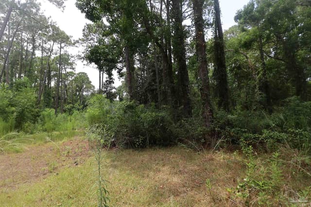 1481 Ocean Breeze Ln, Gulf Breeze FL 32563 photo 3