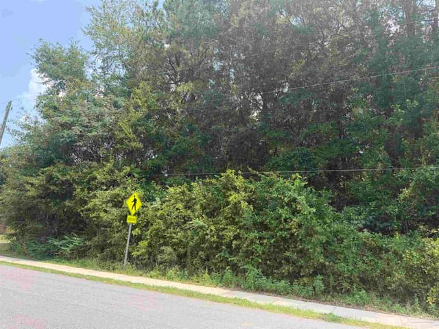 0000 Tilubo Ln, Pace FL 32571 photo 3