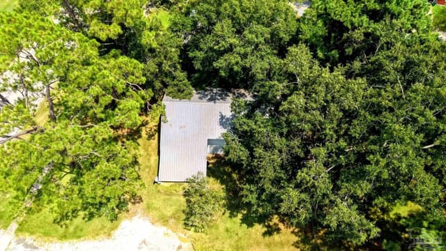 13776 Saint Stephens Ave, Chatom AL 36518 photo 71