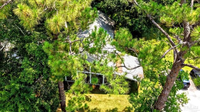13776 Saint Stephens Ave, Chatom AL 36518 photo 70