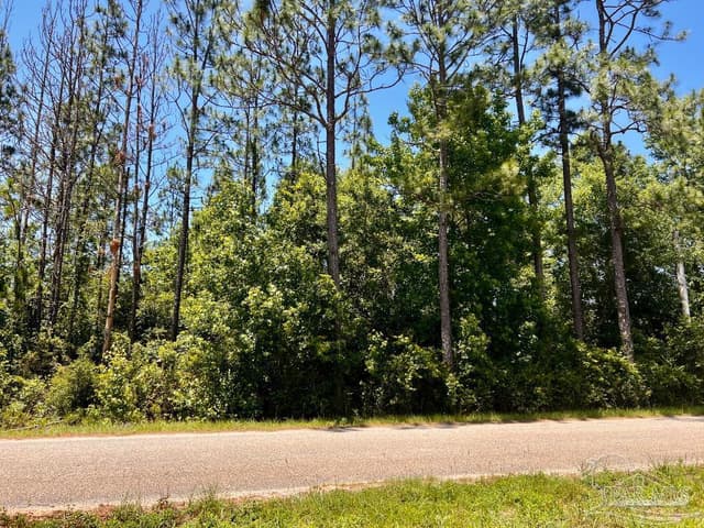 Lot 51 Mineral Springs Rd, Jay FL 32565 photo 5