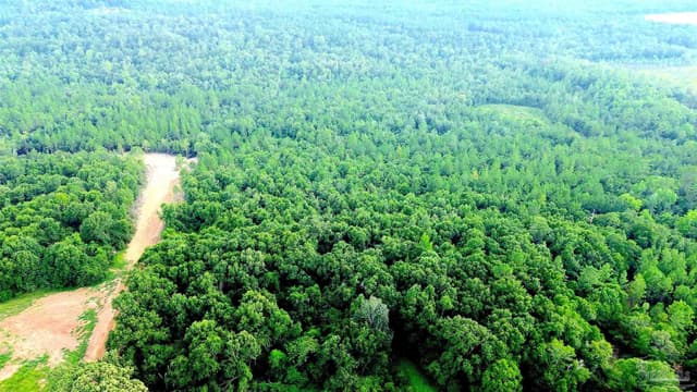 Lot 1 Mineral Springs Rd, Jay FL 32565 photo 2