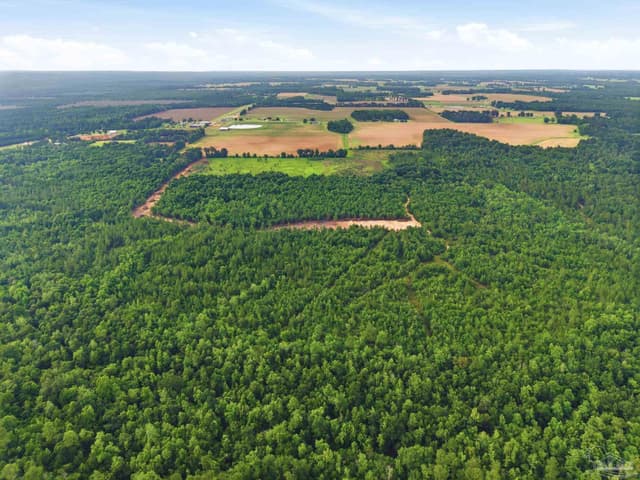 Lot 2 Mineral Springs Rd, Jay FL 32565 photo 9