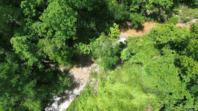 Lot 2 Mineral Springs Rd, Jay FL 32565 photo 10