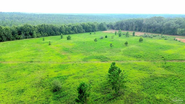 Lot 3 Mineral Springs Rd, Jay FL 32565 photo 2