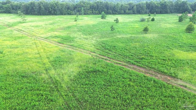 Lot 3 Mineral Springs Rd, Jay FL 32565 photo 3