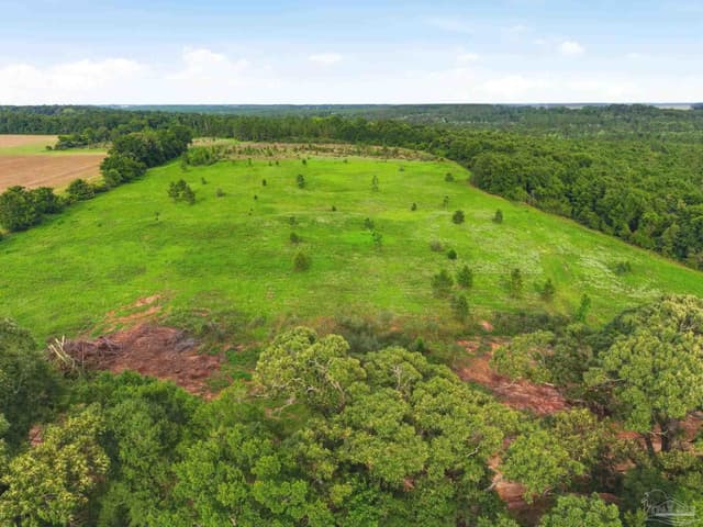 Lot 3 Mineral Springs Rd, Jay FL 32565 photo 9