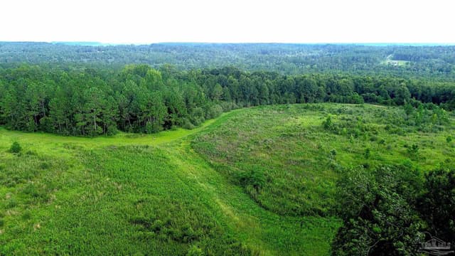 Lot 4 Mineral Springs Rd, Jay FL 32565 photo 2