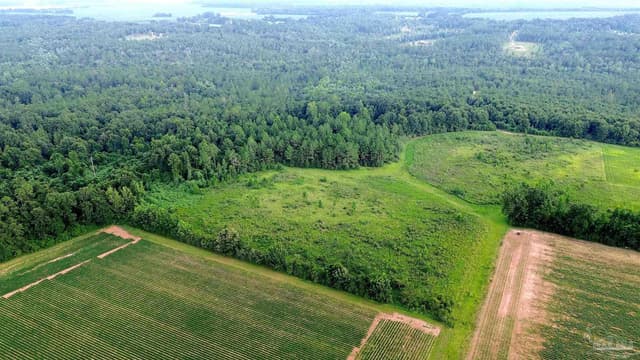 Lot 4 Mineral Springs Rd, Jay FL 32565 photo 3