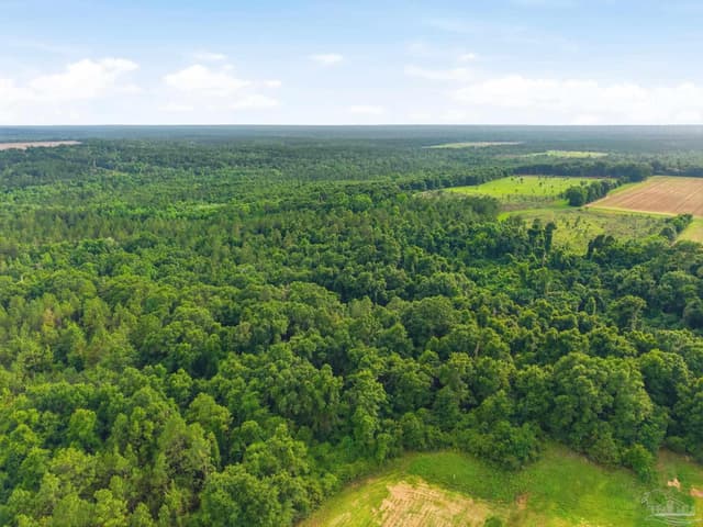 Lot 4 Mineral Springs Rd, Jay FL 32565 photo 5