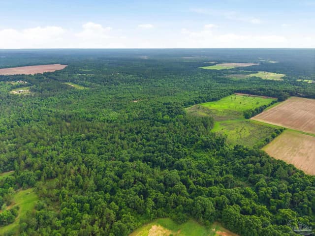 Lot 4 Mineral Springs Rd, Jay FL 32565 photo 4