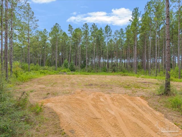 1403 Mineral Springs Rd, Jay FL 32565 photo 7