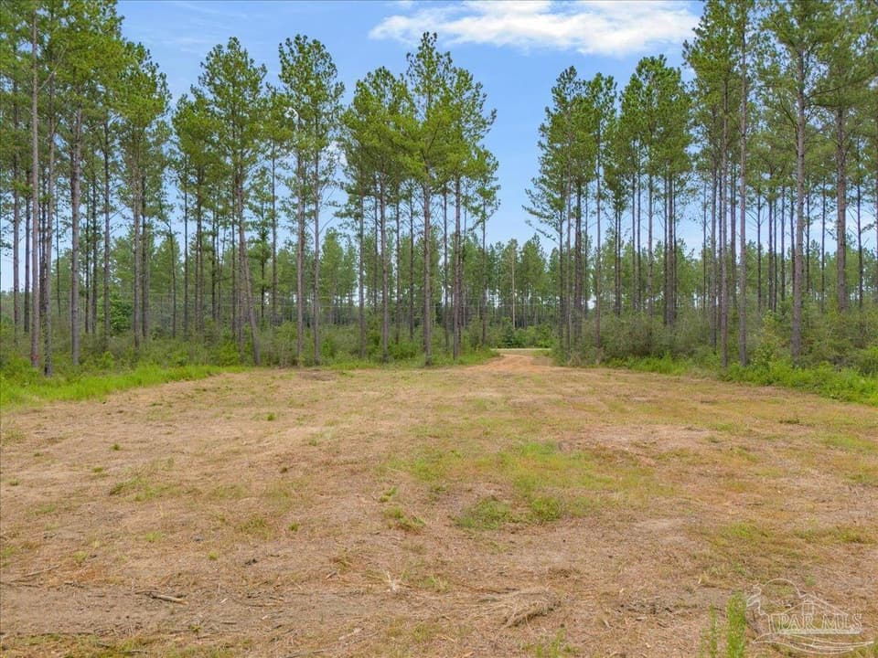 1403 Mineral Springs Rd, Jay FL 32565 photo 1