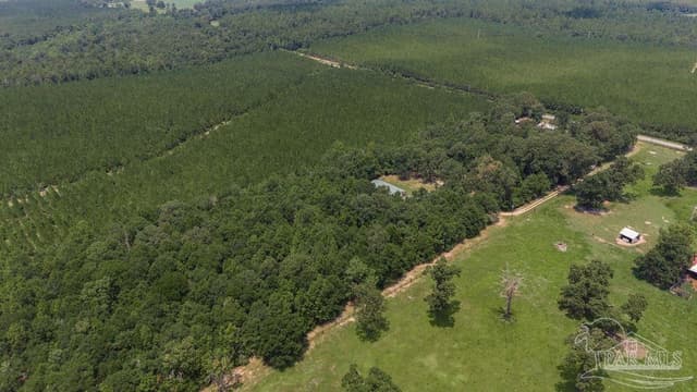 3101 Breastworks Rd, Mcdavid FL 32568 photo 39