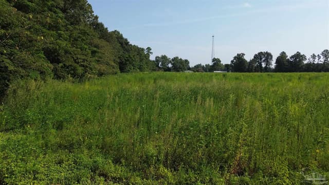 Lot 20 Cotton Top Ln, Milton FL 32570 photo 8