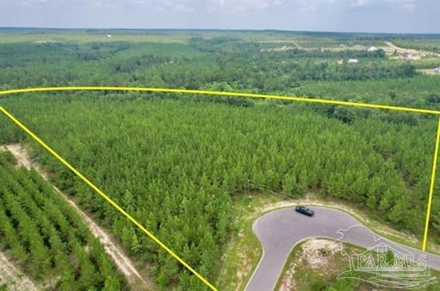 Lot 35 MBN Molino Bridge Rd, Pace FL 32571 photo 2