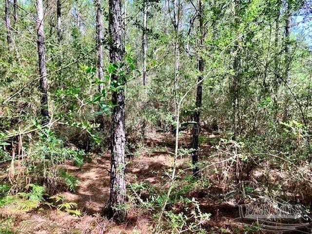 Lot 35 MBN Molino Bridge Rd, Pace FL 32571 photo 5